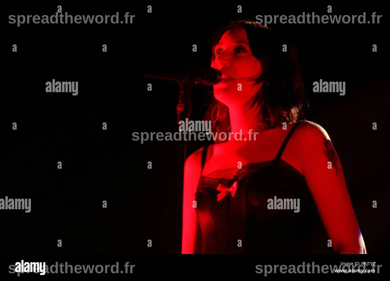 Zazie chanteuse francaise hi-res stock photography and images - Alamy