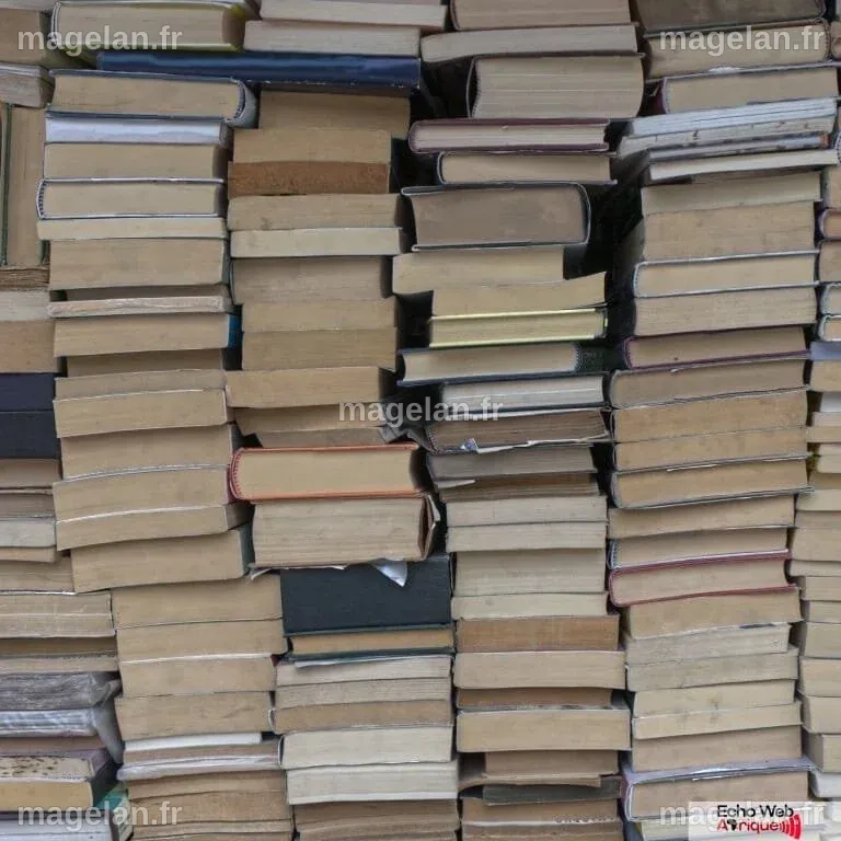 Le renseignement chinois en alerte après la vente de livres militaires ...