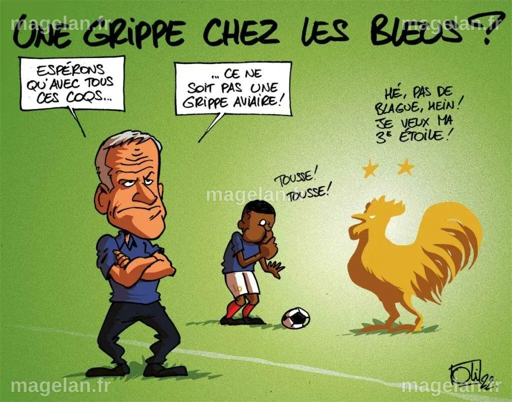 Grippe pour les bleus ! | Les humeurs d'Oli