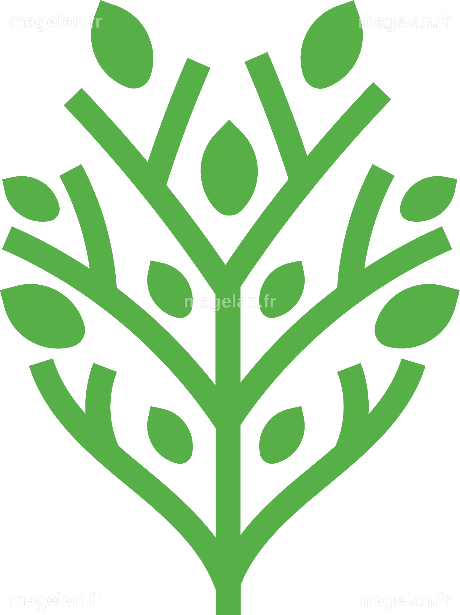 Almoosa Health Company logo in transparent PNG and vectorized SVG formats