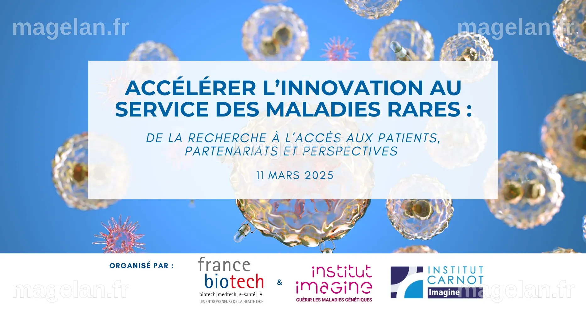 Accélérer l'innovation dans les maladies rares - France Biotech