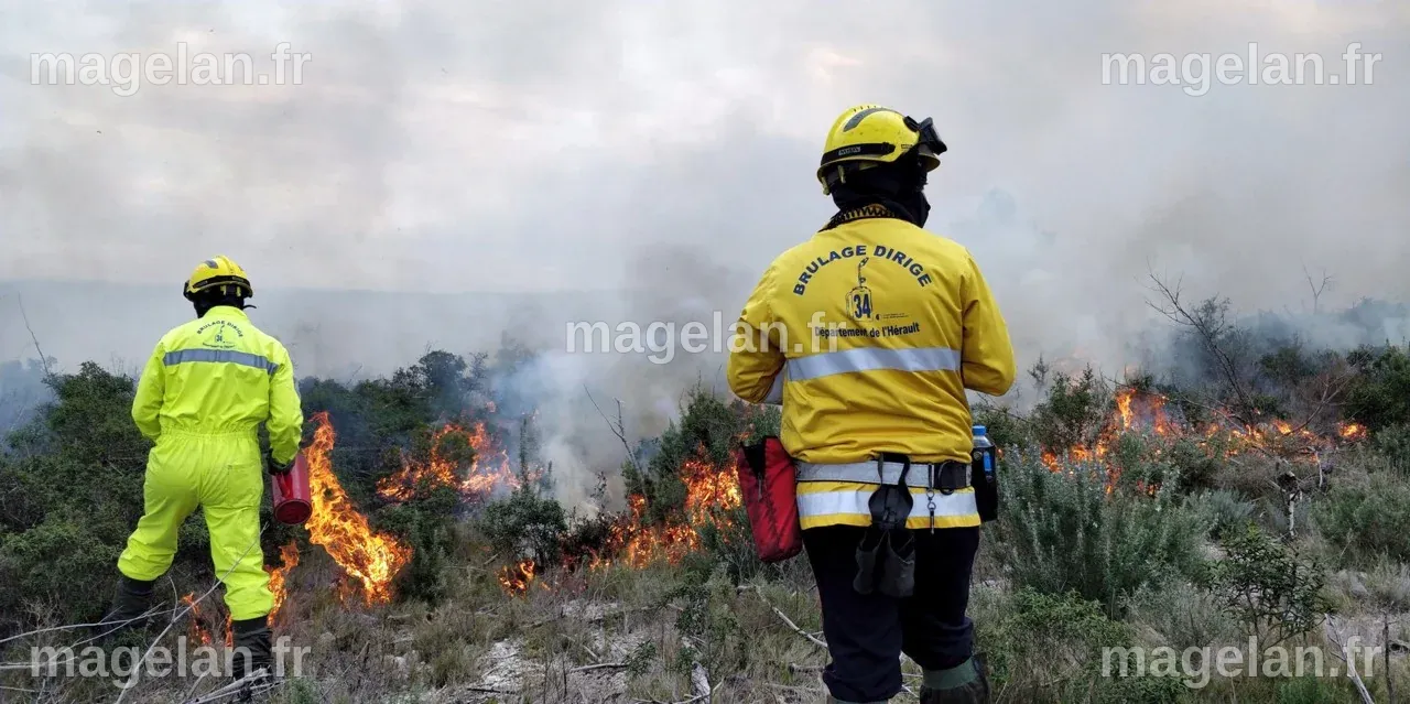 Près de Montpellier : des brûlages dirigés pour diminuer le risque d ...