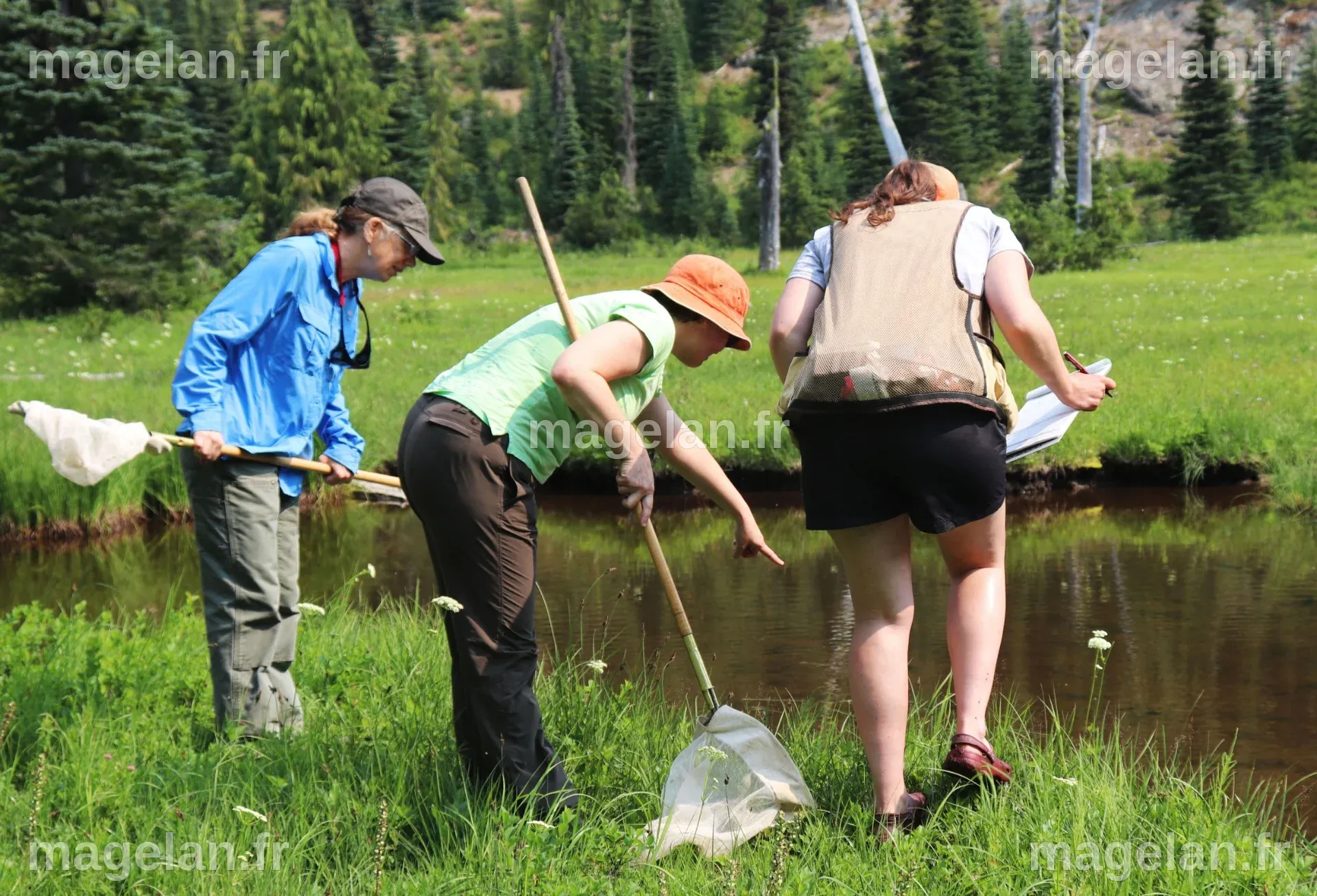 UK Citizen Science Network