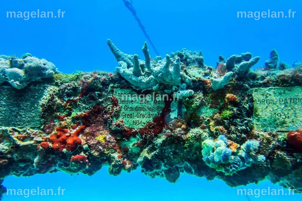 Le fossile « le plus complet » d’un monstre marin vieux de 72 millions ...