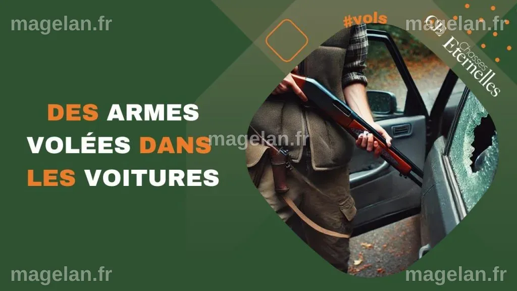 Des armes volées dans les voitures - Chasses éternelles