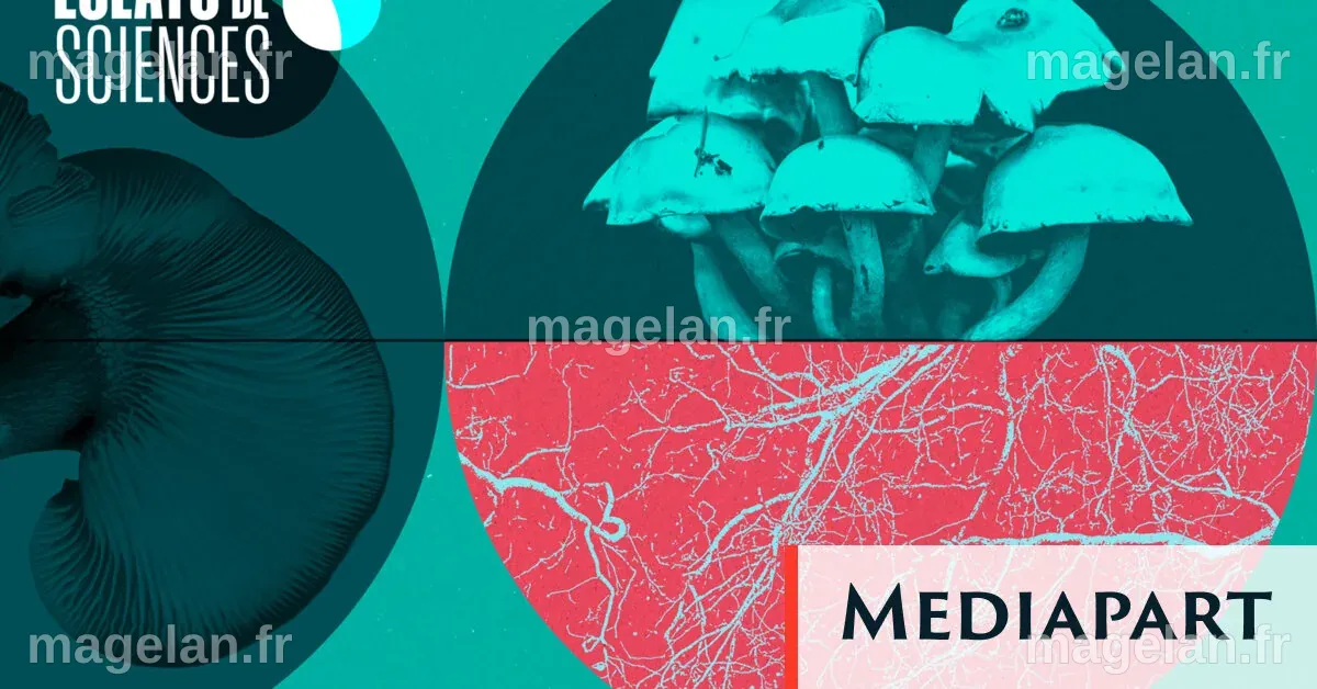 Des chercheurs mobilisés pour sauver les châtaigniers menacés par des maladies