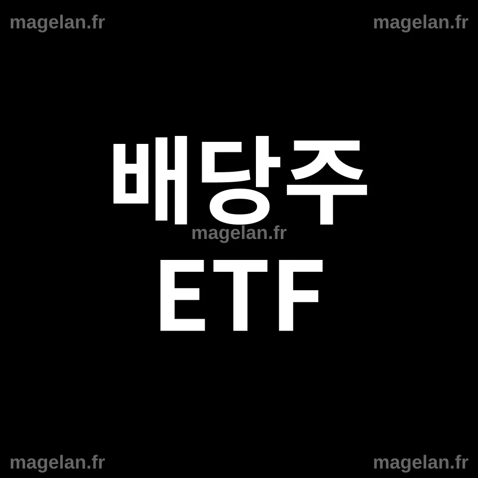 미국 배당주 ETF 순위 TOP 5 | VYM, SCHD, DVY, HDV, NOBL