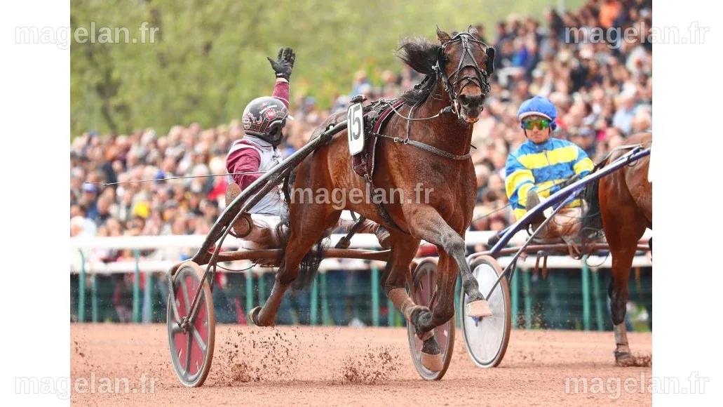Hohneck pose ses jalons pour l'Elitloppet | LETROT