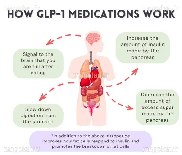 GLP-1 : Comment ces médicaments pourraient lutter contre l'addiction
