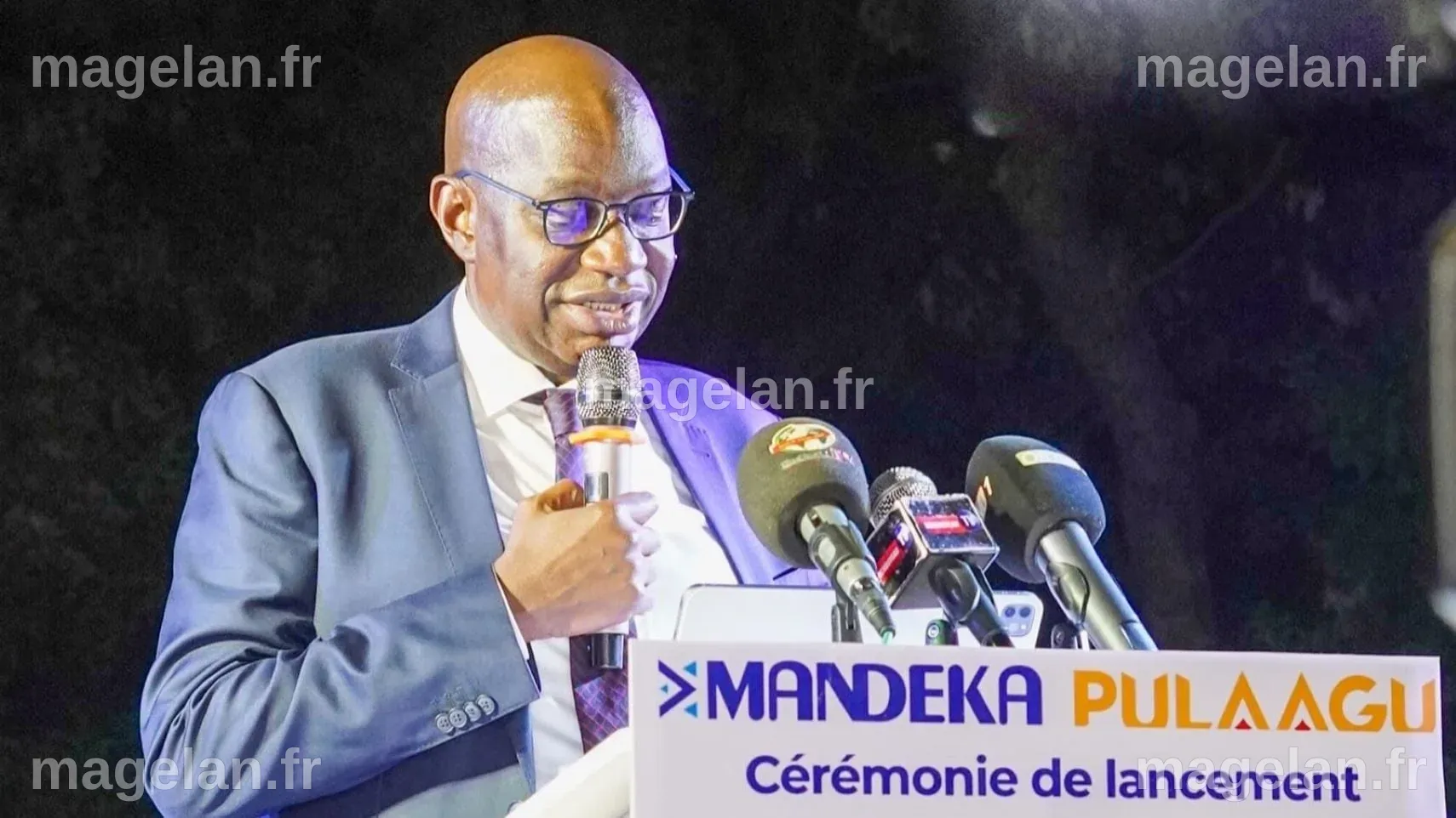 Canal+ Mali Et Canal+ International Lancent Les Chaînes Mandenka Et ...