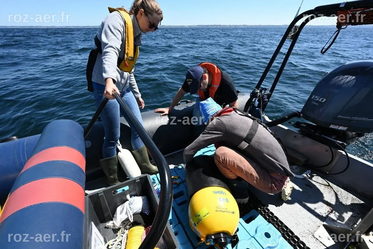 Environnement. Dans la Manche, ces scientifiques vont suivre les ...