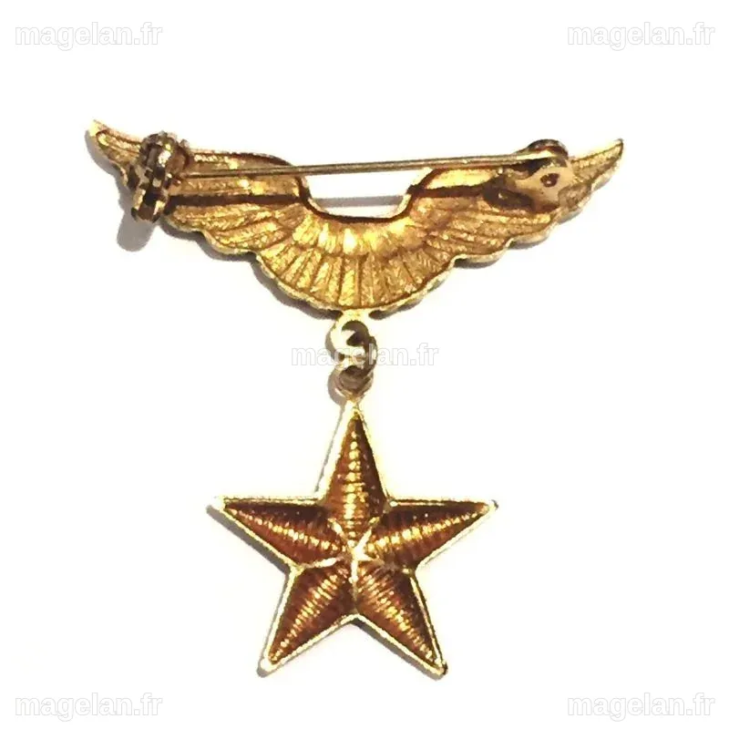 INSIGNIA DE L'ARMÉE DE L'AIR FRANÇAISE (FRENCH AIR ARMY) (FRENCH 079)