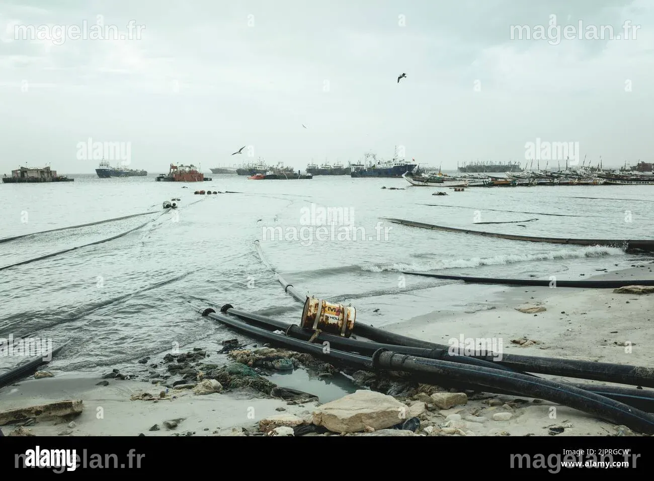 Puntiya, le côté des usines de farine de poisson face à la mer, où les ...