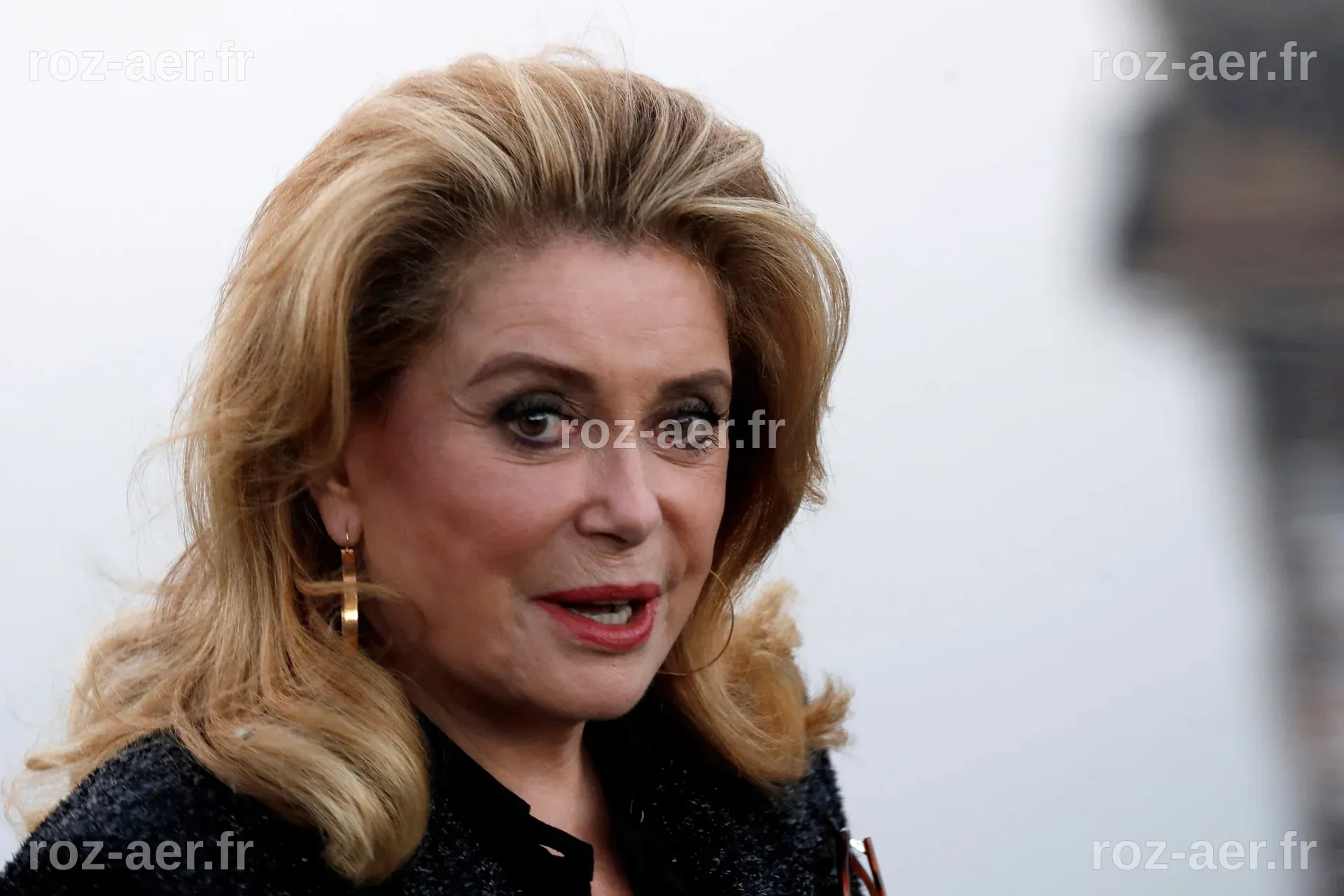 Catherine Deneuve : une icône française admirée qui assume ses prises ...