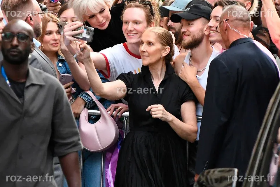 Céline Dion : bain de foule et virée au Louvre pour son grand retour à ...