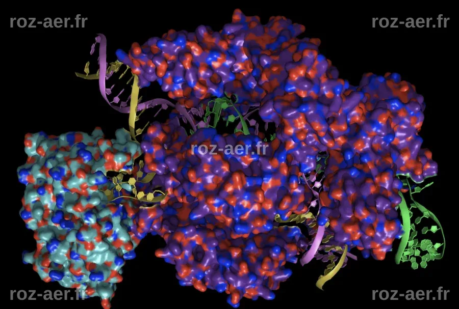 Sciences de la Vie et de la Terre, Biologie Géologie - Crispr-Cas9 ...