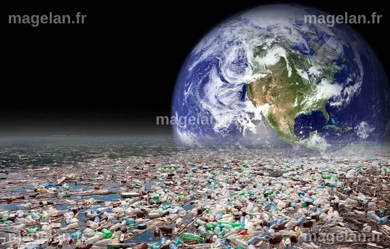 La disparition des insectes et araignées : un danger pour notre alimentation et la qualité de l'eau