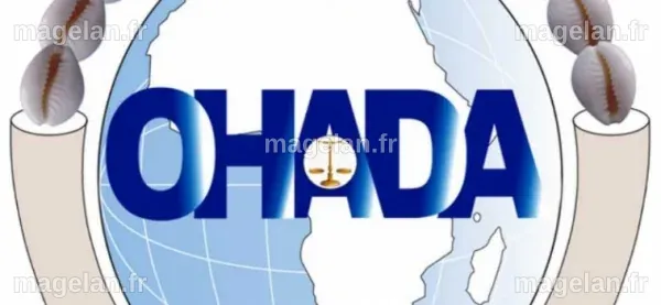 Togo : un nouveau système comptable pour les organismes à but non ...
