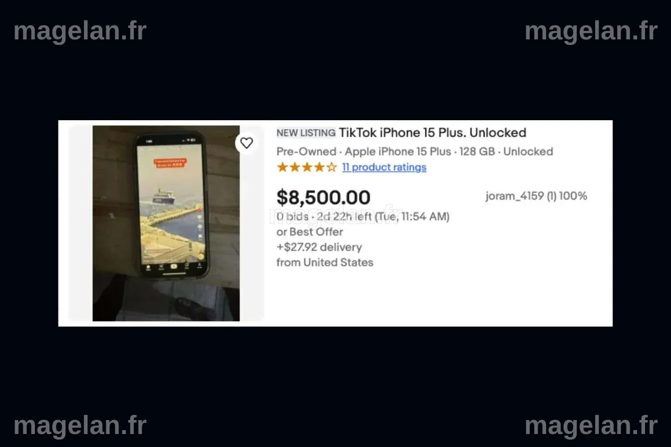 L’interdiction de TikTok aux États-Unis : un nouveau marché lucratif ...
