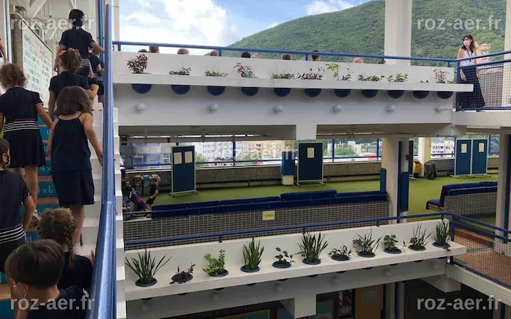 Rentrée physique réussie au Lycée Français de Hong Kong