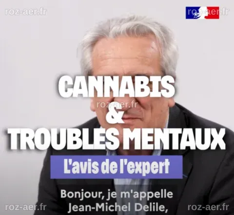 Cannabis & troubles mentaux : l’avis de l’expert | Grand Est Addictions