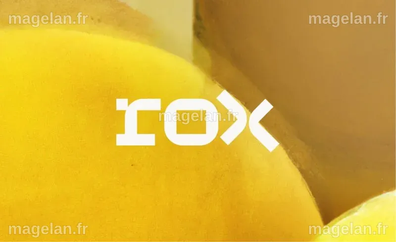 Rox | AI-Powered Sales Productivity Platform