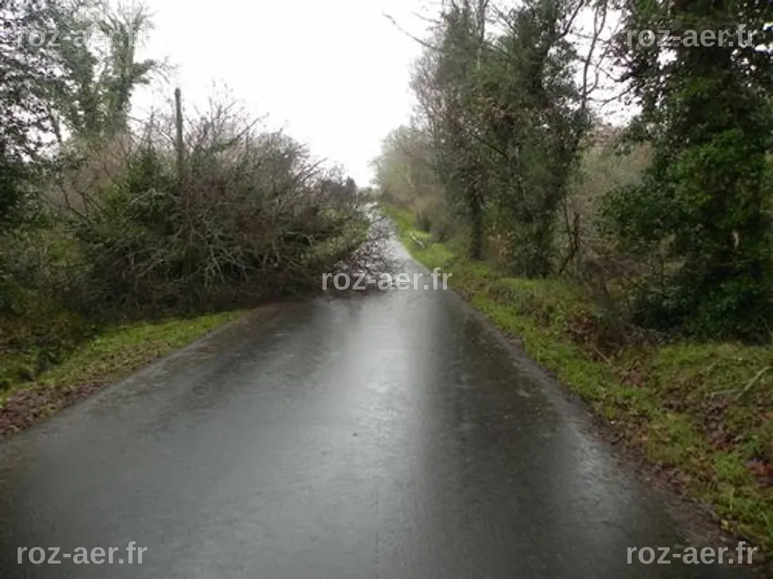 Arbres couchés et coupures de courant dans les Ardennes