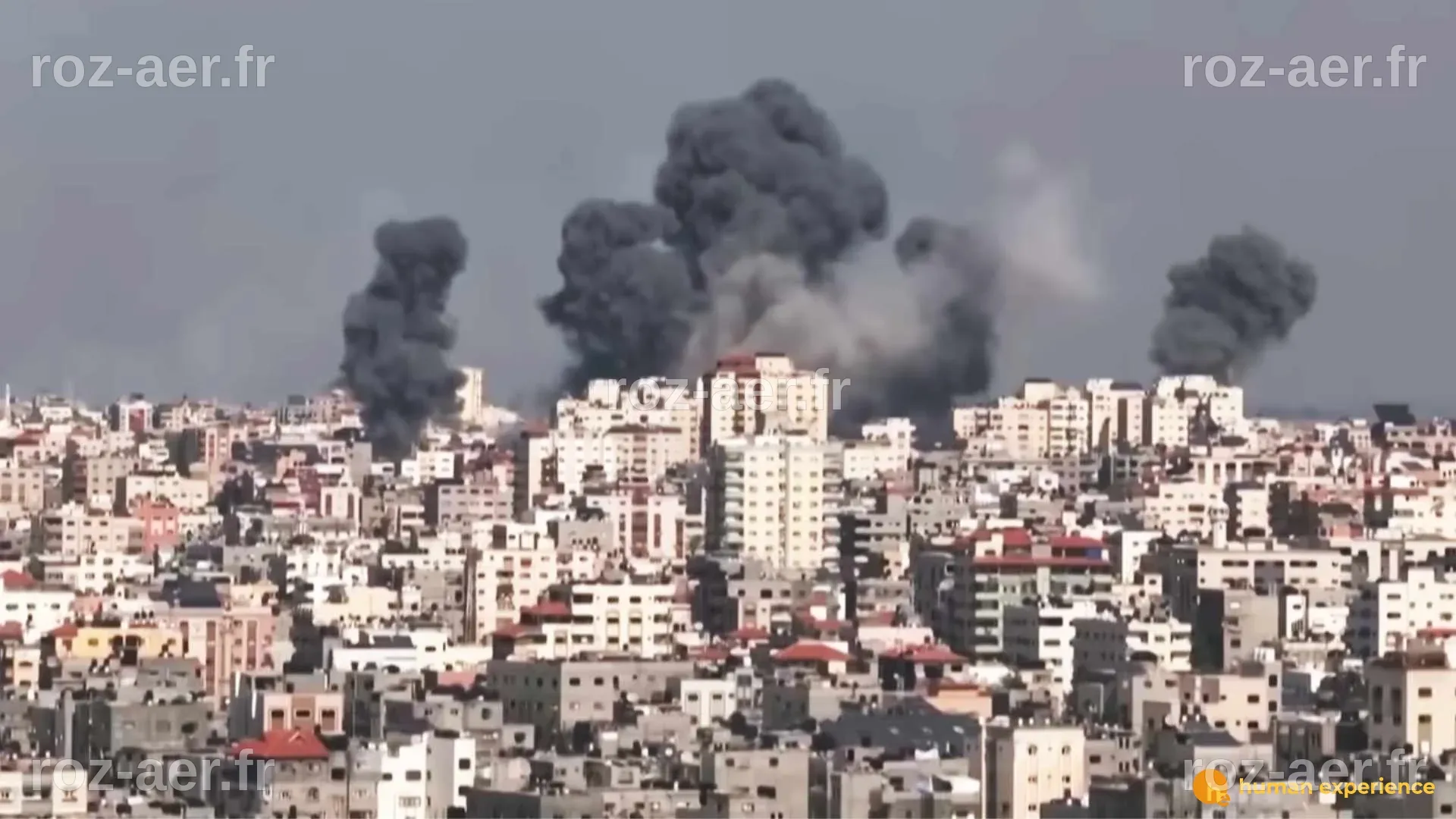 Comptes de la Crypt : Israël fait fermer des comptes crypto du Hamas ...