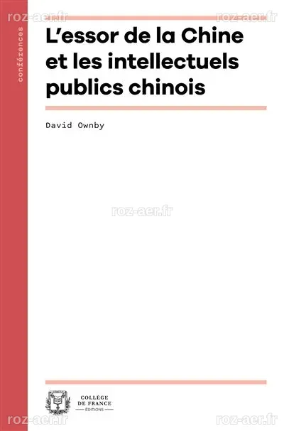 L'essor de la chine et les intellectuels publics chinois - broché ...