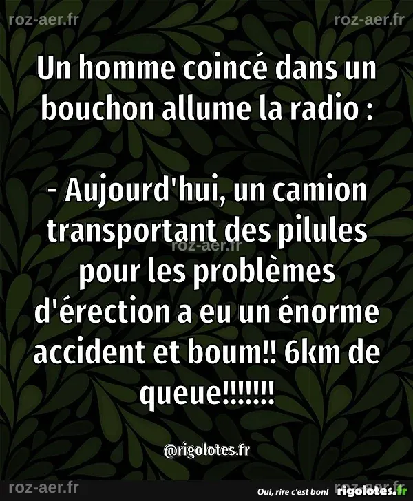 Un homme coincé dans un bouchon allume la radio : - Blagues et les ...