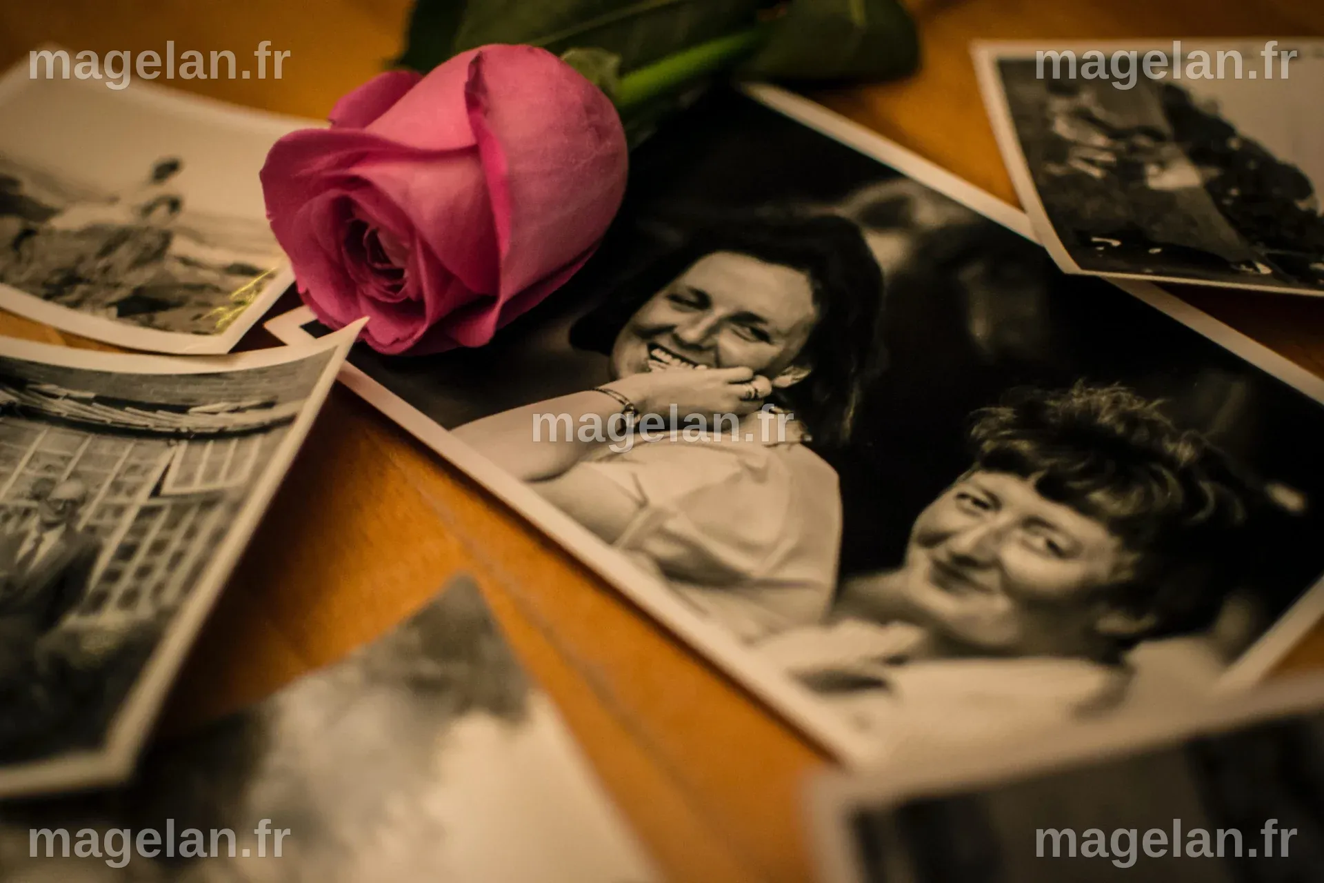 Redonner vie aux albums photos - 30mai