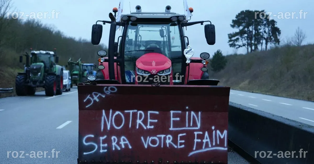 Colère des agriculteurs : France Télévisions bouleverse ses programmes