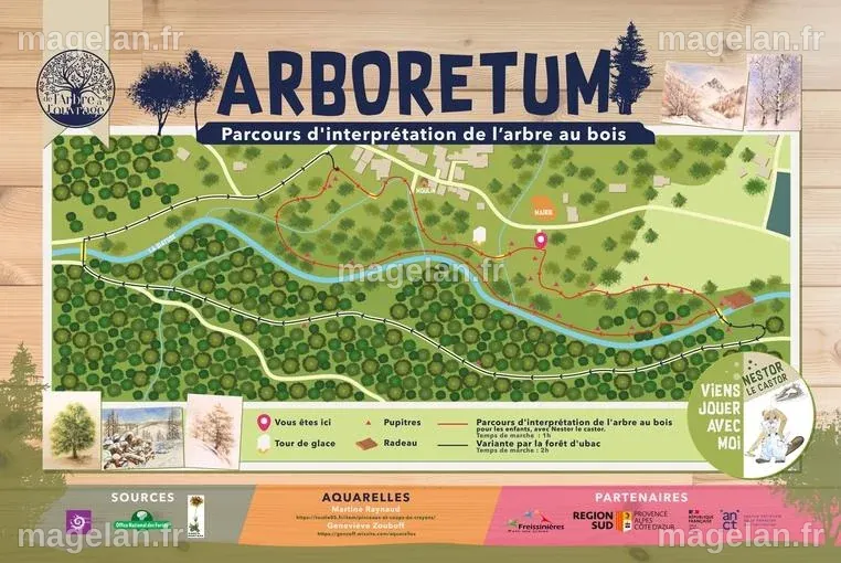 Un nouvel arboretum à découvrir à Freissinières | Parc national des Ecrins