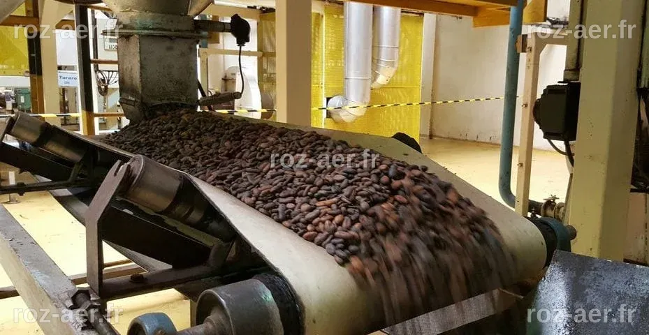 Au Cameroun, l’industrie de transformation du cacao progresse ...