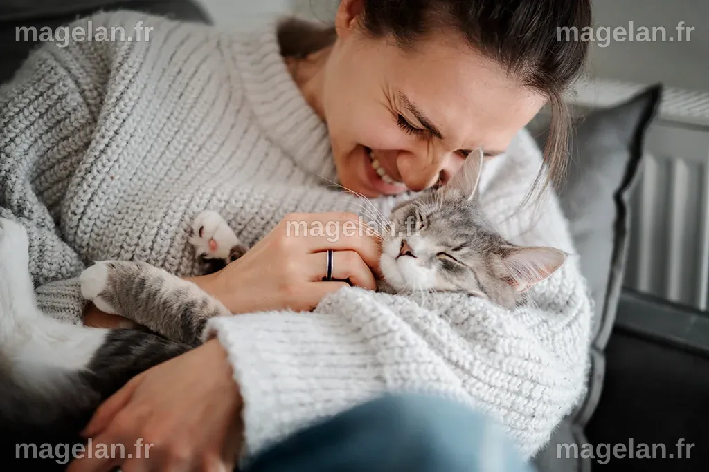 Top 10 des races de chats les plus affectueuses - Assur O'Poil