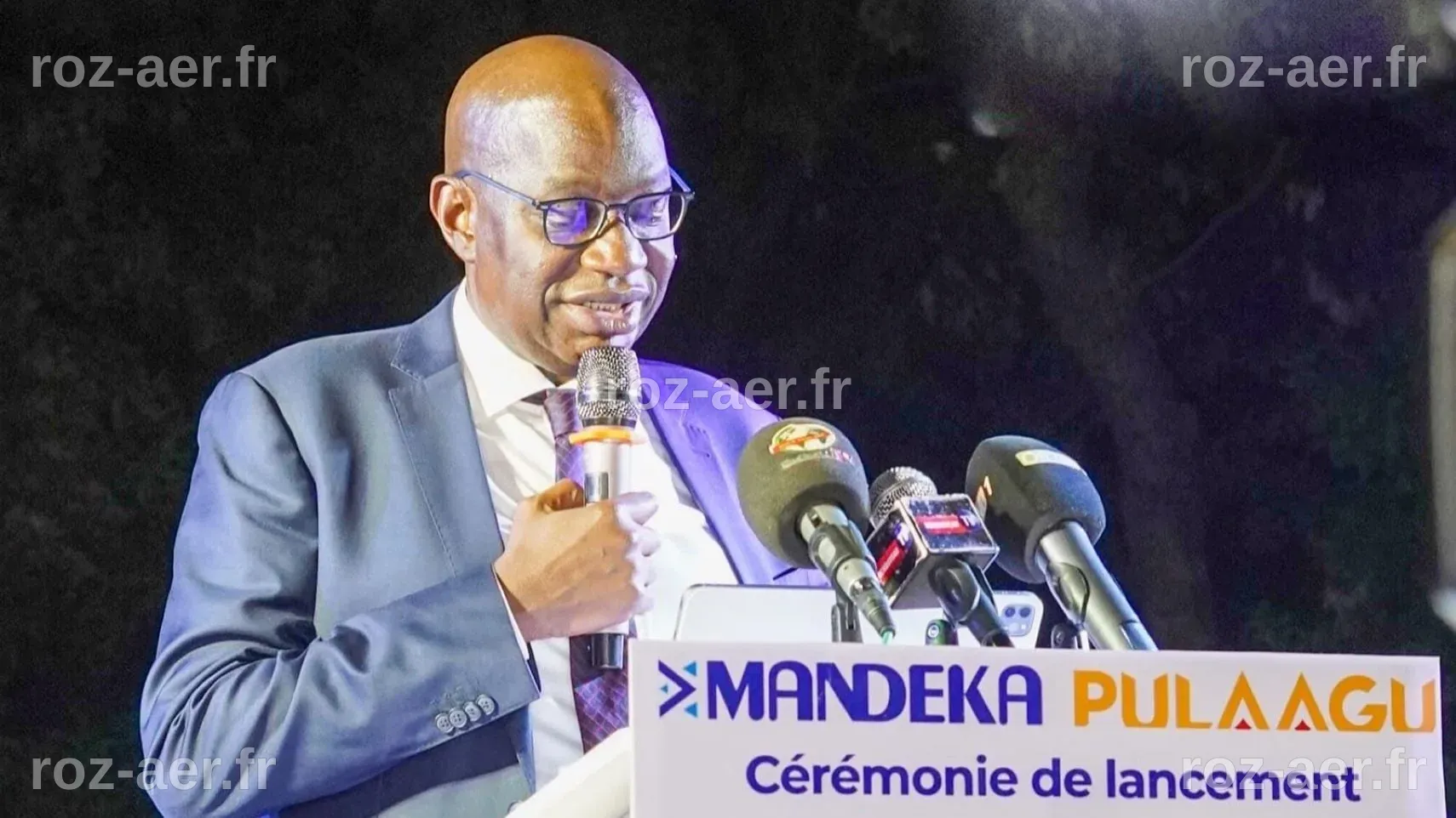 Canal+ Mali Et Canal+ International Lancent Les Chaînes Mandenka Et ...