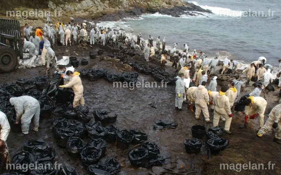 Il y a 20 ans, la marée noire du « Prestige » souillait les côtes de l ...