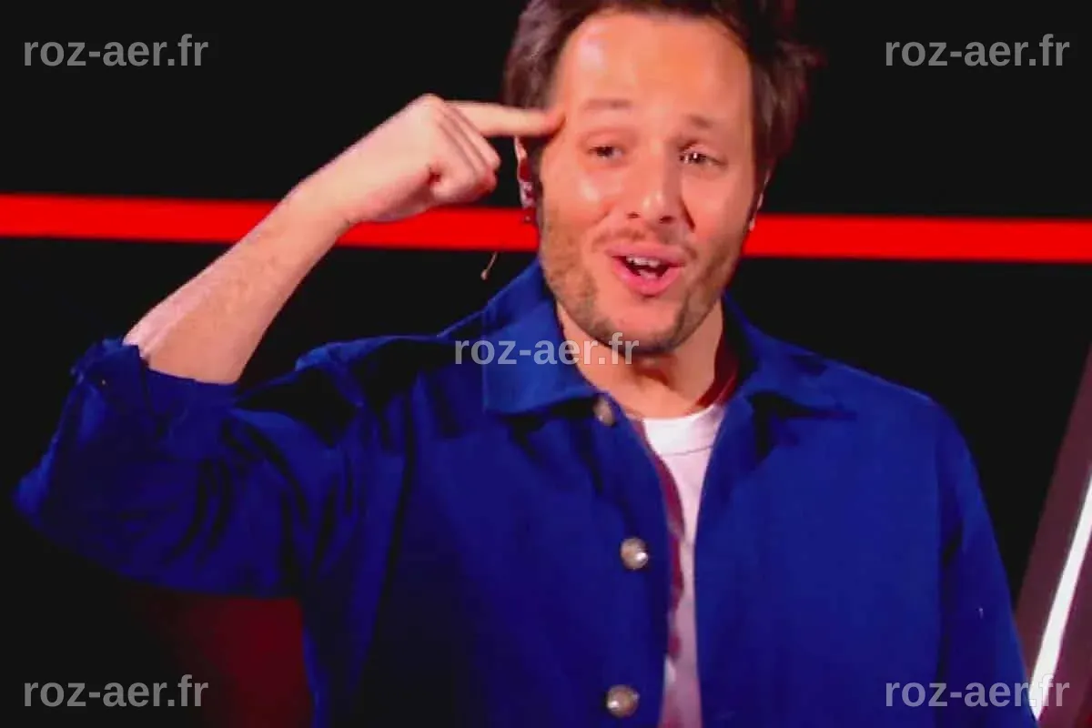 The Voice (TF1) : Vianney se lâche et critique ouvertement une icône de ...