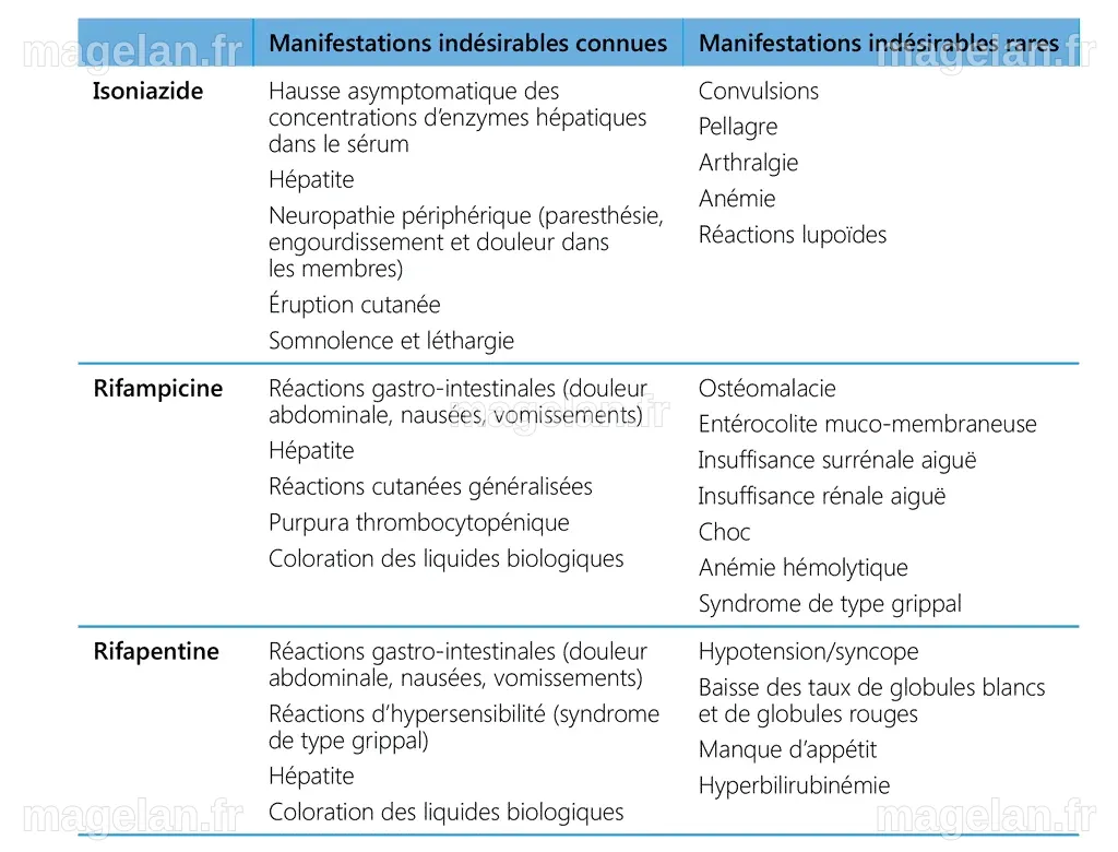 Mirtazapine : entre bienfaits et risques à connaître