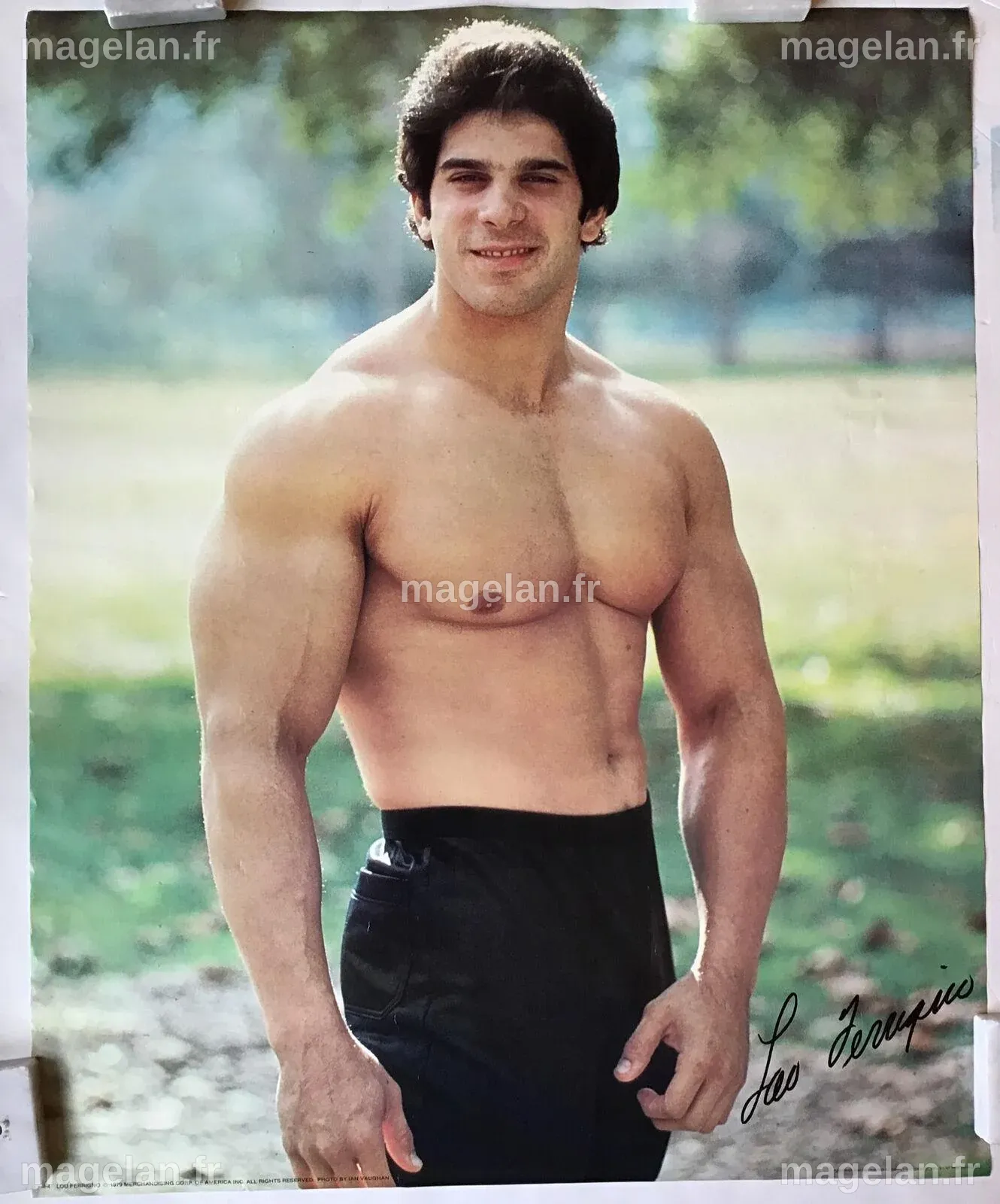 Lou Ferrigno Wallpapers - Top Free Lou Ferrigno Backgrounds ...