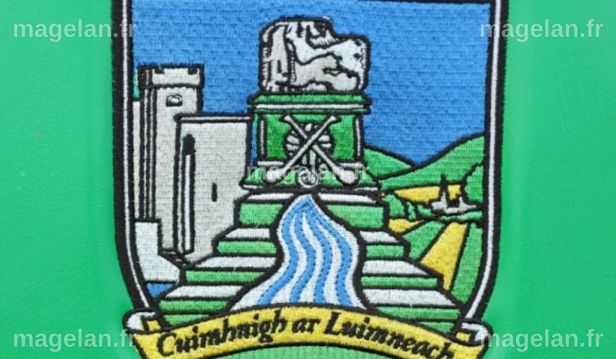 Le conseil du comté de Limerick a signalé une augmentation des dépenses ...