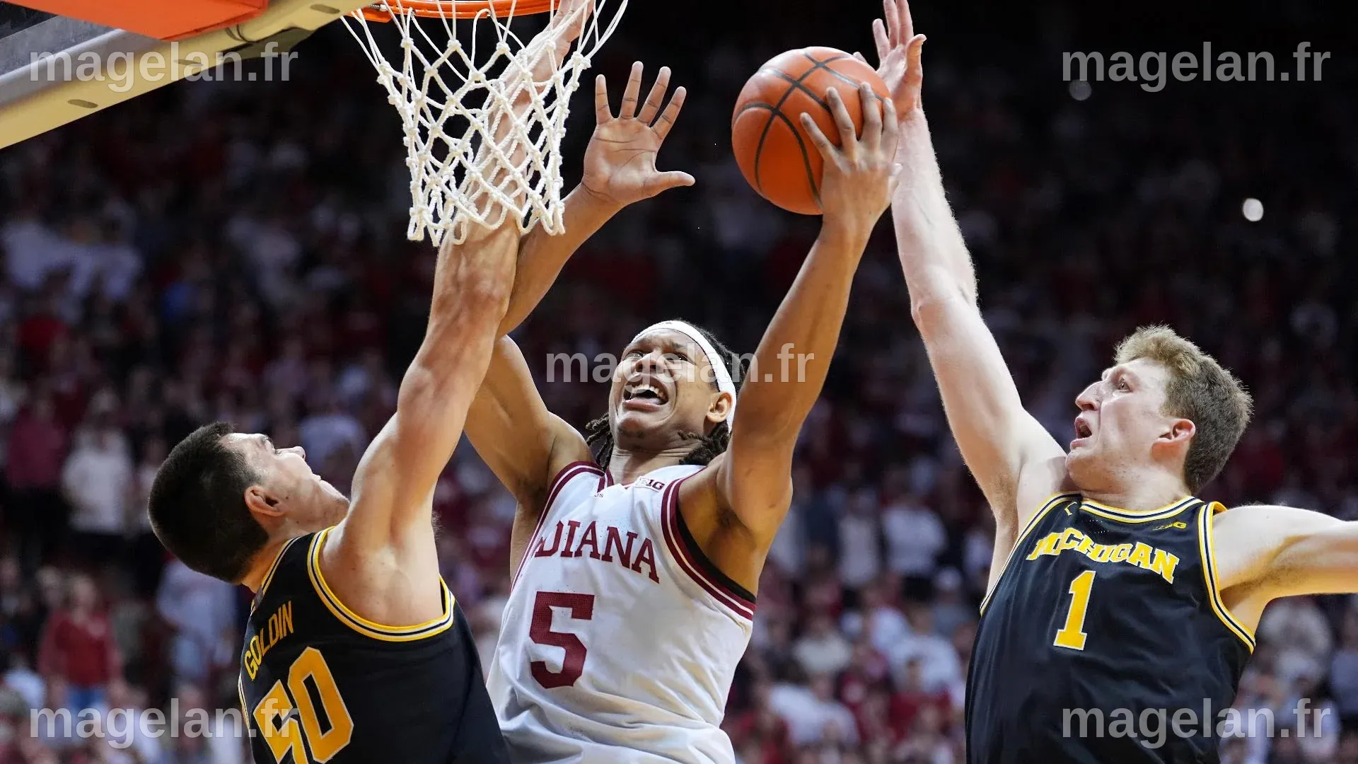 IU basketball's Malik Reneau, Gabe Cupps entering transfer portal ...