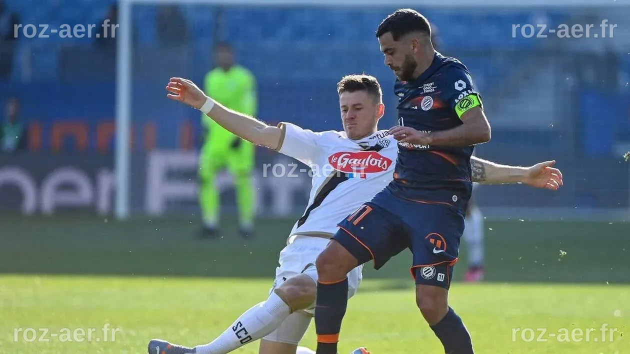 « Entre le ridicule et le pitoyable » : les ultras de Montpellier ...