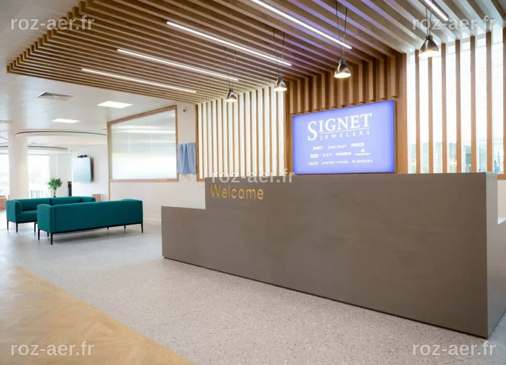 Why has Signet Jewelers’ stock price almost halved since November?