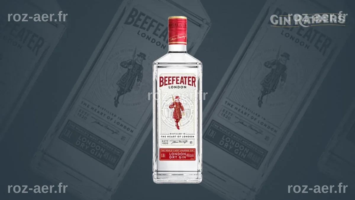 5 meilleurs gins pour débutants | Distilleurs | L'actu bars et alcools