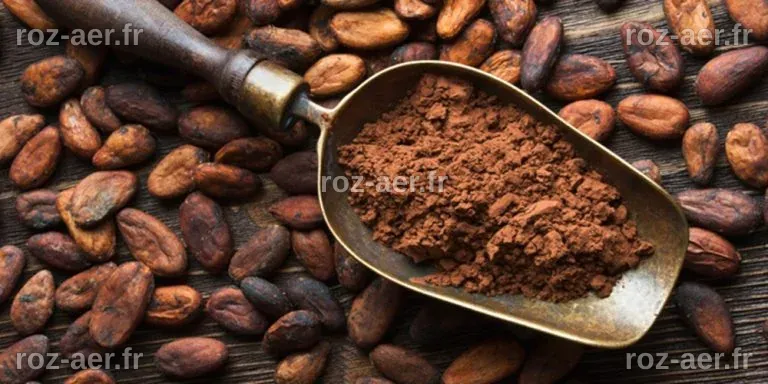 Côte d'Ivoire : Les exportations de cacao battent un record historique ...