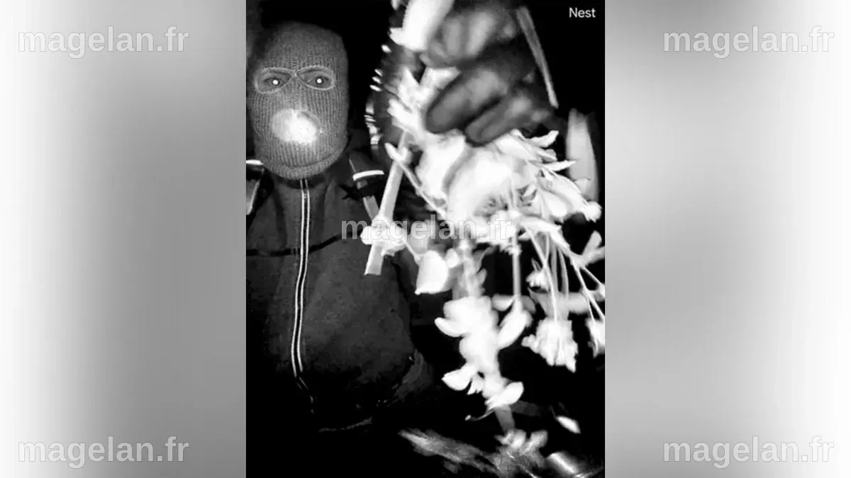 FBI photos in Nancy Guthrie alleged abduction case fuel heated online ...