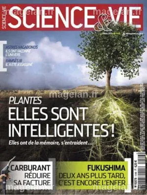 Volcanologie : l'inclinaison de la terre agit sur les volcans - Science ...