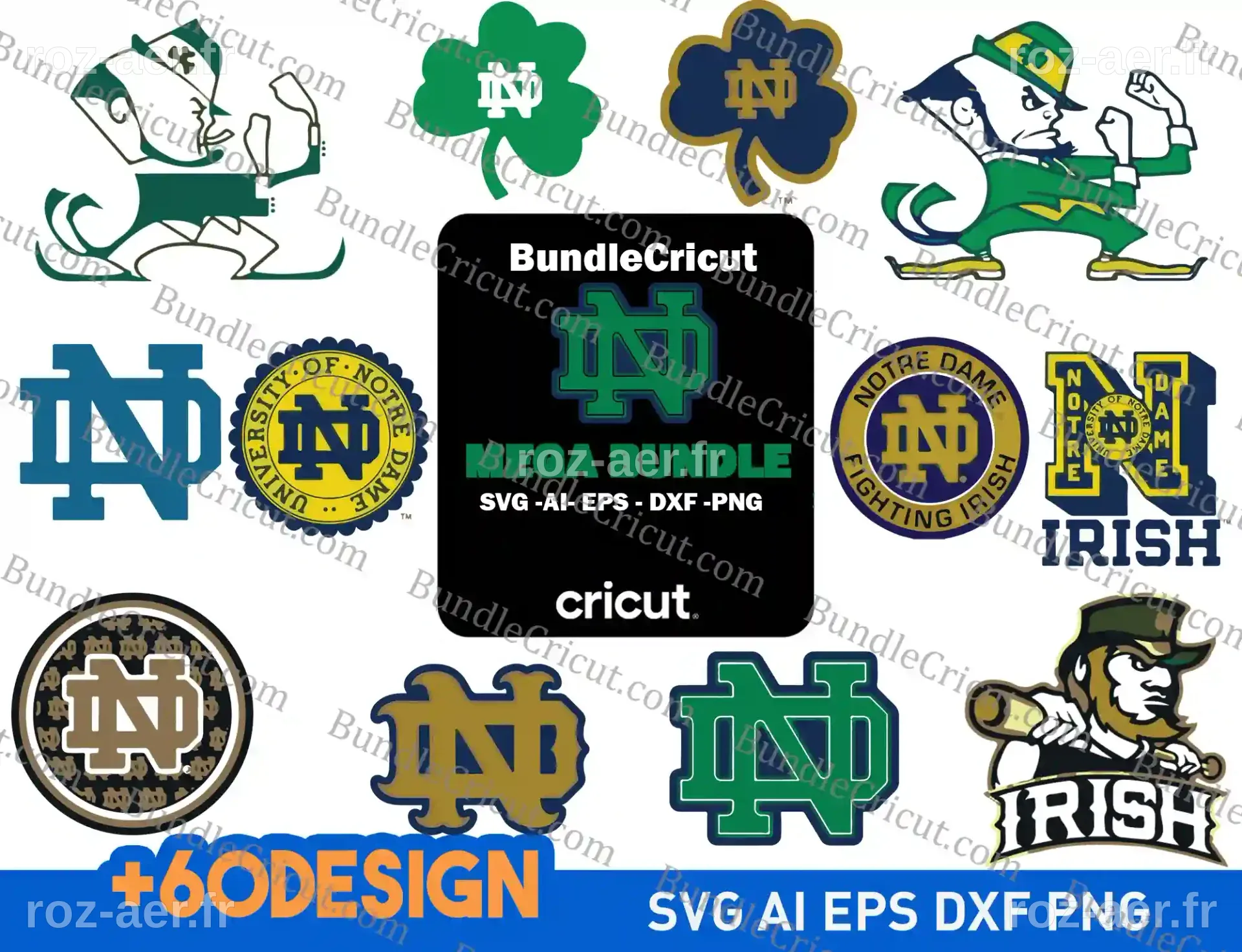 MARCH MADNESS : Les Fighting Irish de Notre Dame obtiennent un 6ème seed pour le tournoi NCAA à Columbus
