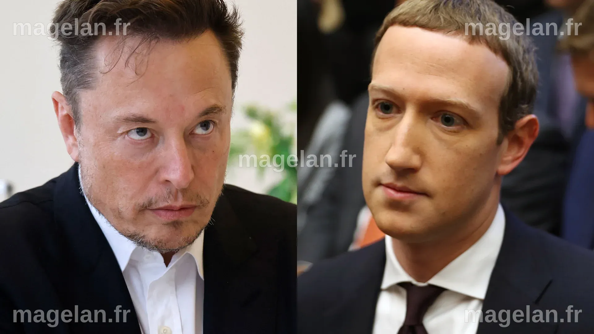 Elon Musk-Mark Zuckerberg Feud Takes Turn After Musk's Insult